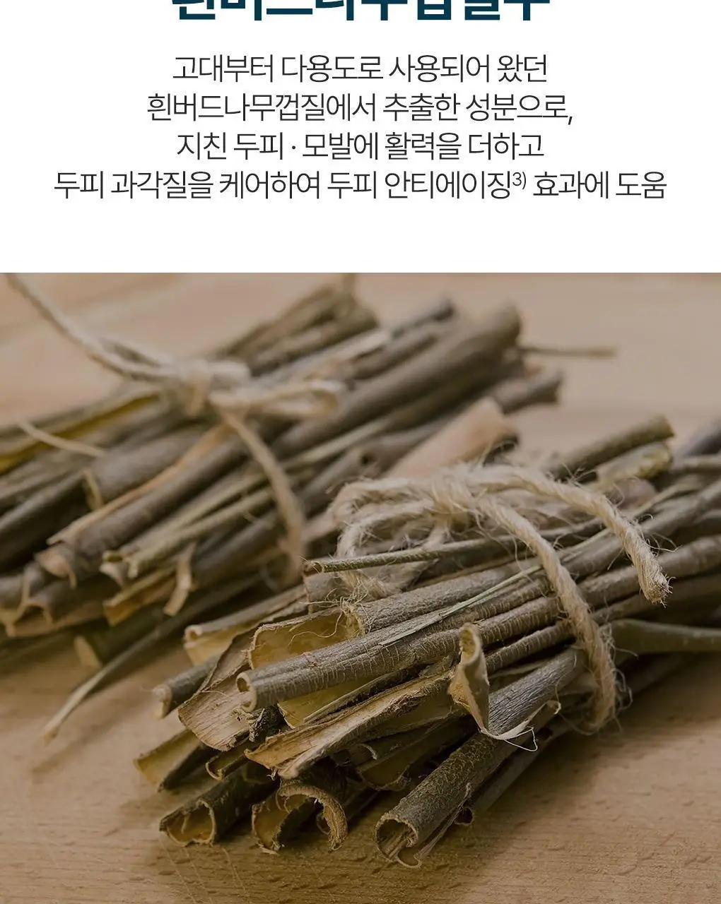 [탄력뿌리볼륨샴푸]라우쉬 윌로우바크 트리트먼트 샴푸 200ml 상세페이지 15